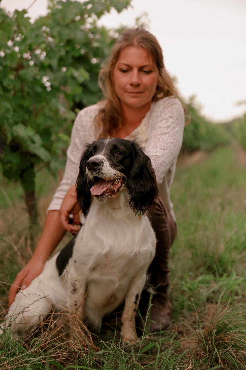 Waya Vampa Femelle English springer spaniel